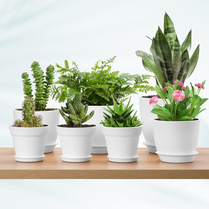 FHWTY Store 7 Pack Mix Size Plastic Plant Pots, 6.2/5.4/4.8/4.5/4 inch Indoor Planters with Drainage Holes and Tray, Thickened Plastic Flowers Pots for Plants, Succulents, Snake Plant and Cactus, White - Image 3